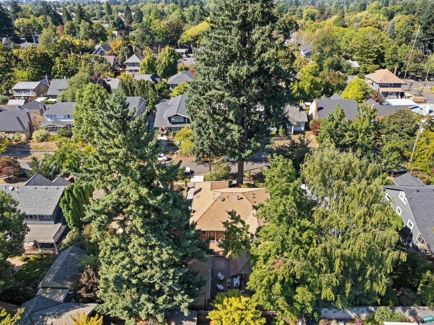 Aerial view of a suburban Portland, Oregon neighborhood with numerous houses surrounded by lush green trees. The scene is dominated by two large evergreen trees in the center, while a mix of deciduous trees adds varied hues to the picturesque landscape.