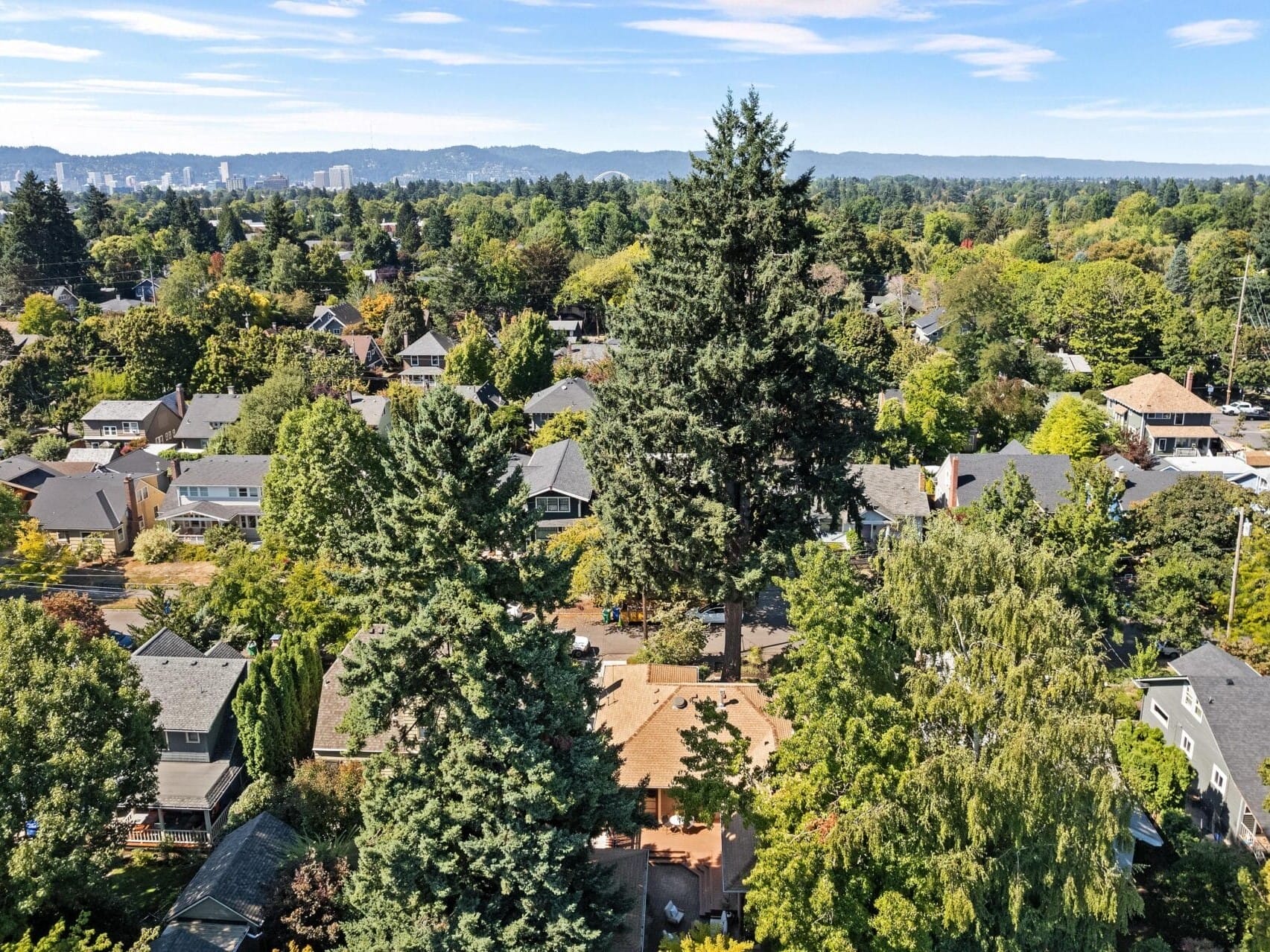 Aerial view of a suburban Portland, Oregon neighborhood with houses surrounded by lush green trees. A large evergreen tree stands prominently in the center. The horizon reveals distant hills and a clear blue sky.