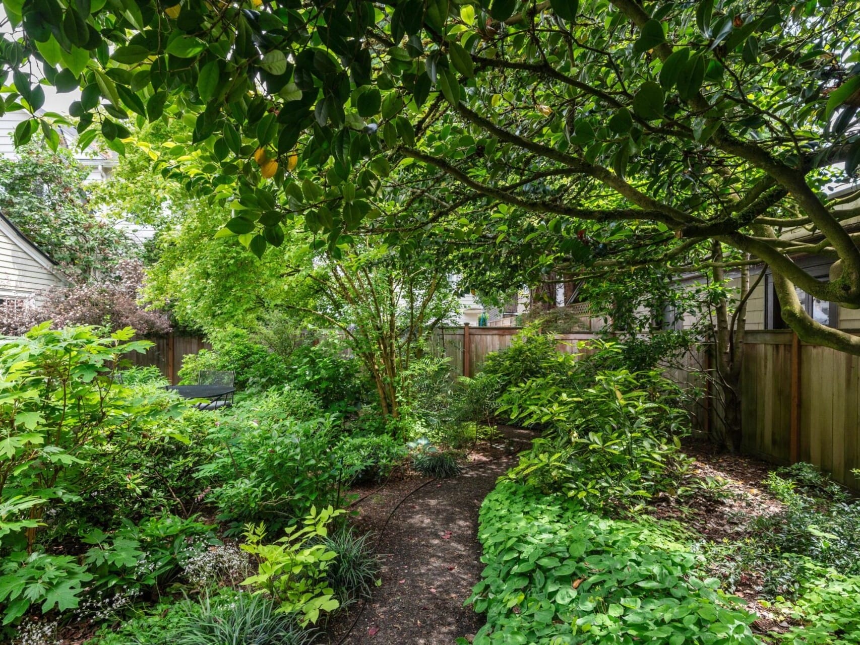 A lush backyard garden in Portland, Oregon boasts a variety of green plants and shrubs. A narrow dirt path winds through the greenery under the shade of overhanging trees. Wooden fences envelop the garden area, while a corner of a house peeks into view.