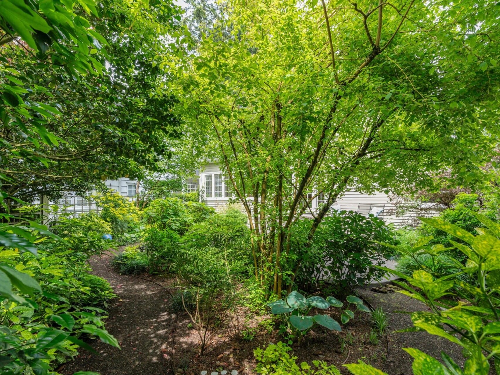 A lush, green garden with various trees and plants surrounds a white house reminiscent of Portland, Oregon. Sunlight filters through the leaves, creating dappled light on the ground. A narrow dirt path winds through the foliage toward the house.