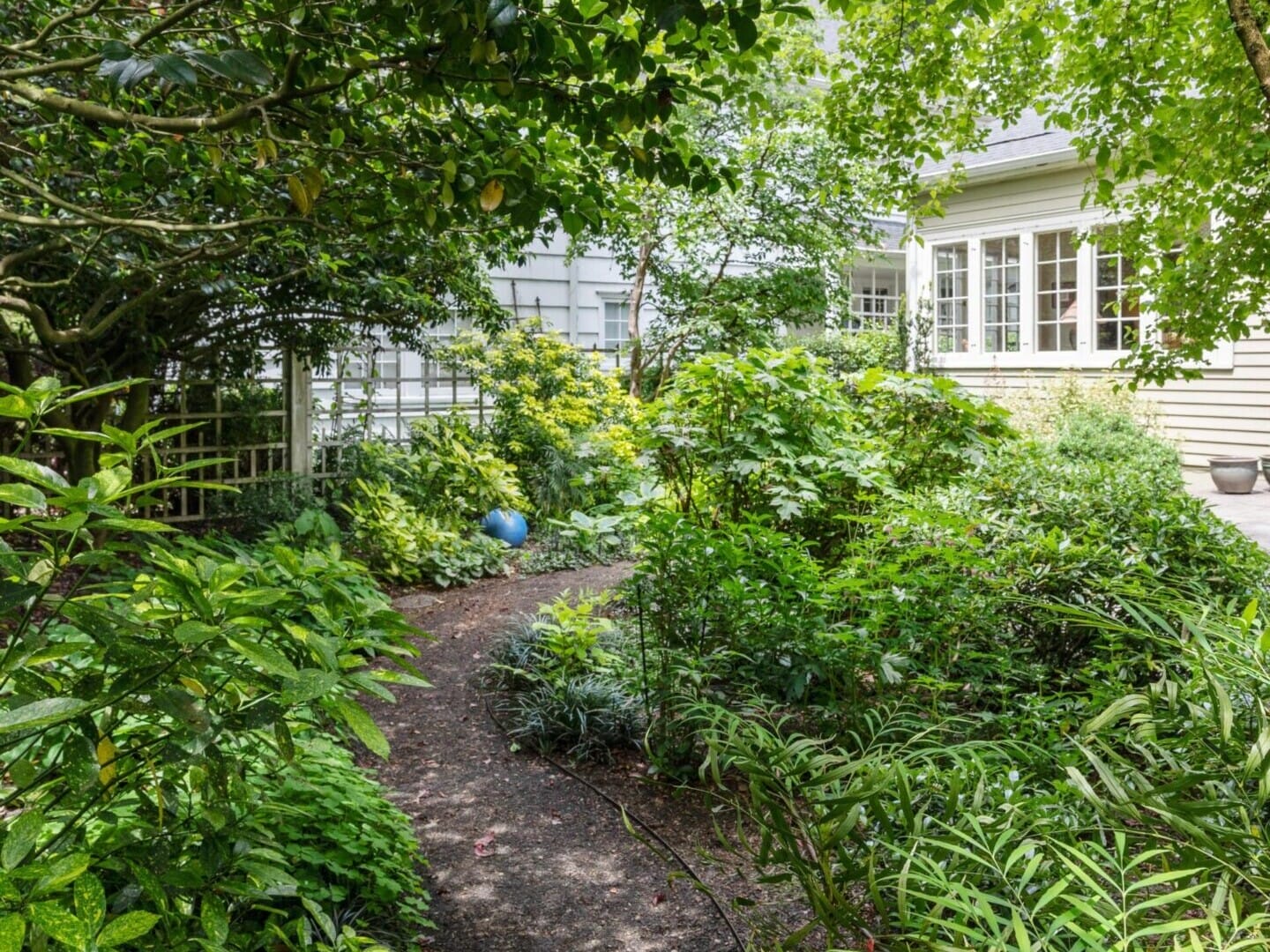 A lush garden pathway bordered by various green plants and trees leads to a white house with large windows, reminiscent of those charming homes in Portland, Oregon. The scene is bright and serene, showcasing a mix of vibrant foliage and filtered sunlight through the leaves.