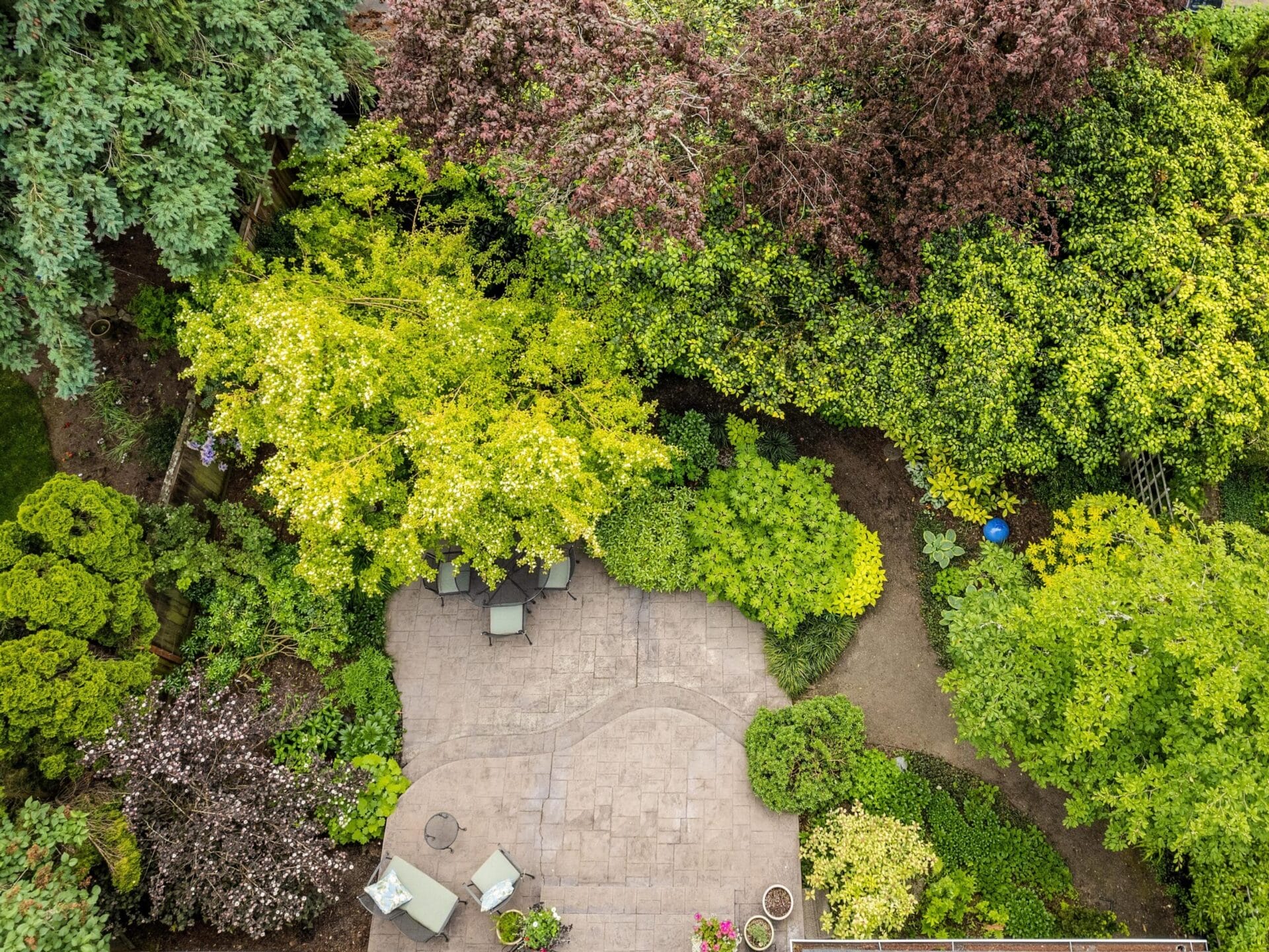 Aerial view of a lush Portland, Oregon garden with various green trees and shrubs surrounding a stone patio. The patio features several chairs and small tables. A narrow pathway winds through the garden, accentuated by vibrant foliage and colorful flowers.