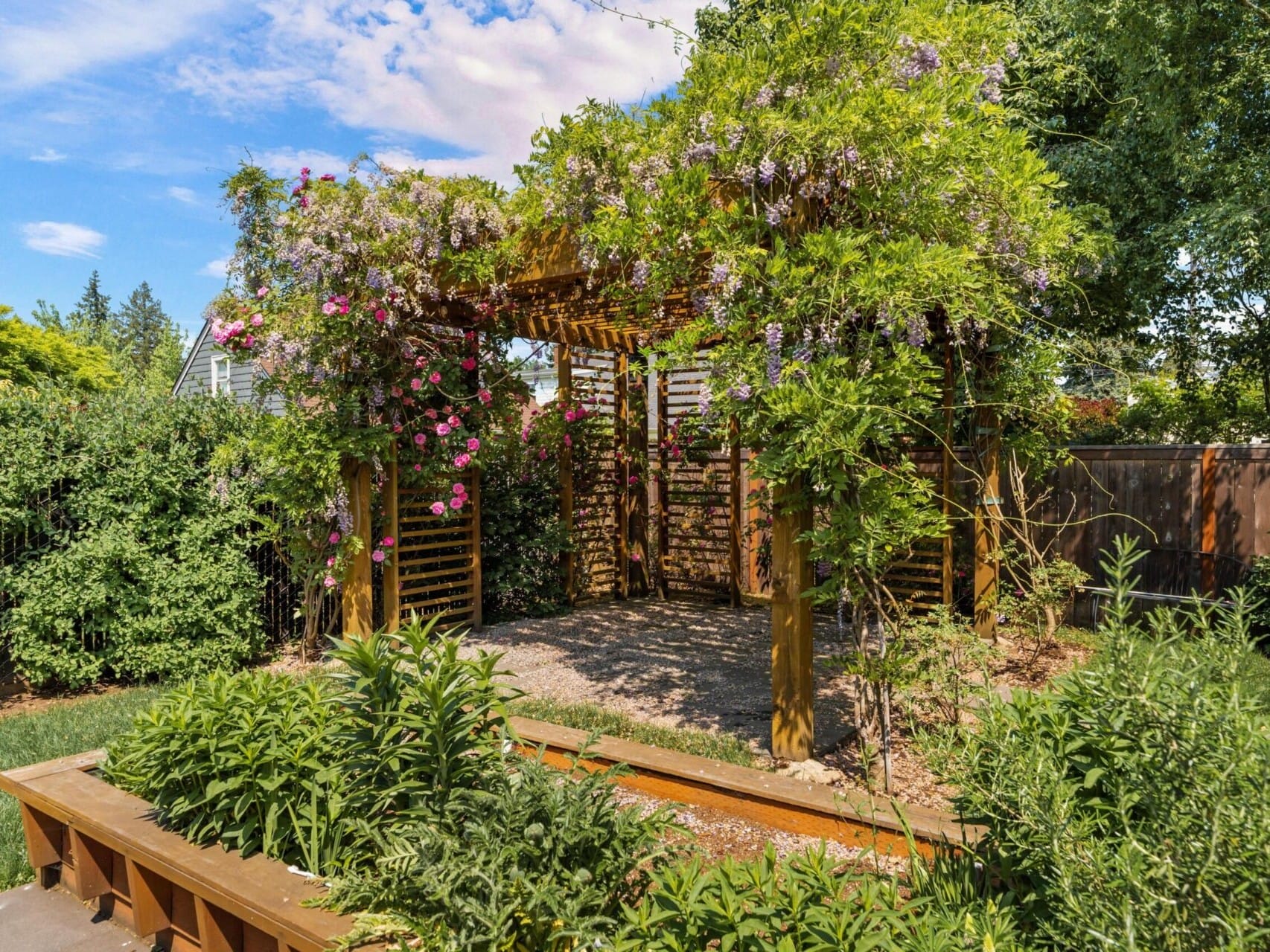 A garden pergola covered in blooming wisteria and roses stands on gravel. Surrounded by lush greenery and trees, it sits under a blue sky with scattered clouds, creating a serene outdoor space.