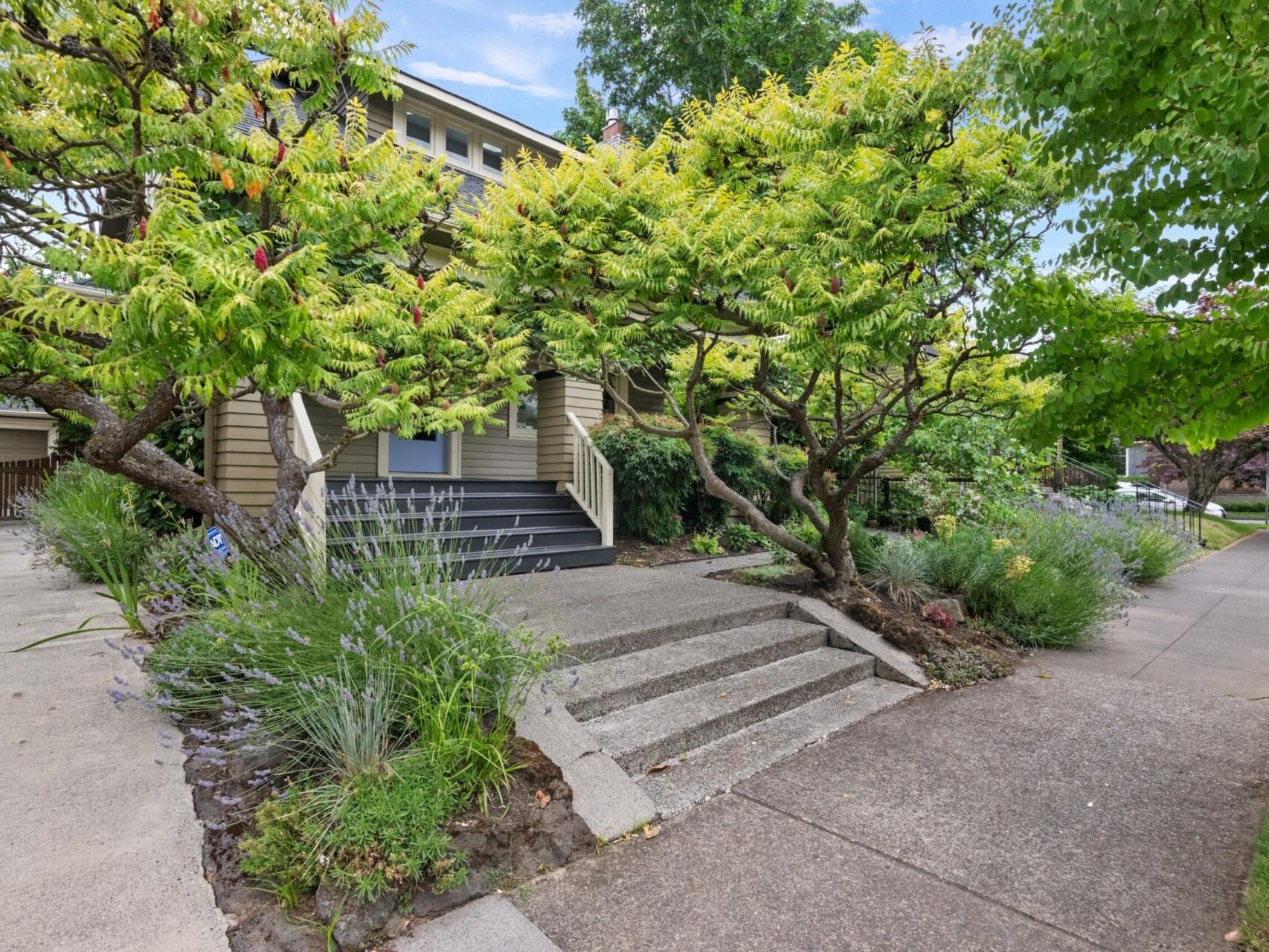 A charming house with a beige exterior, surrounded by lush green trees and shrubs, exemplifies the allure of Portland Oregon real estate. Concrete steps lead to the front porch, while the driveway and sidewalk are framed by well-maintained gardens that enhance its curb appeal.