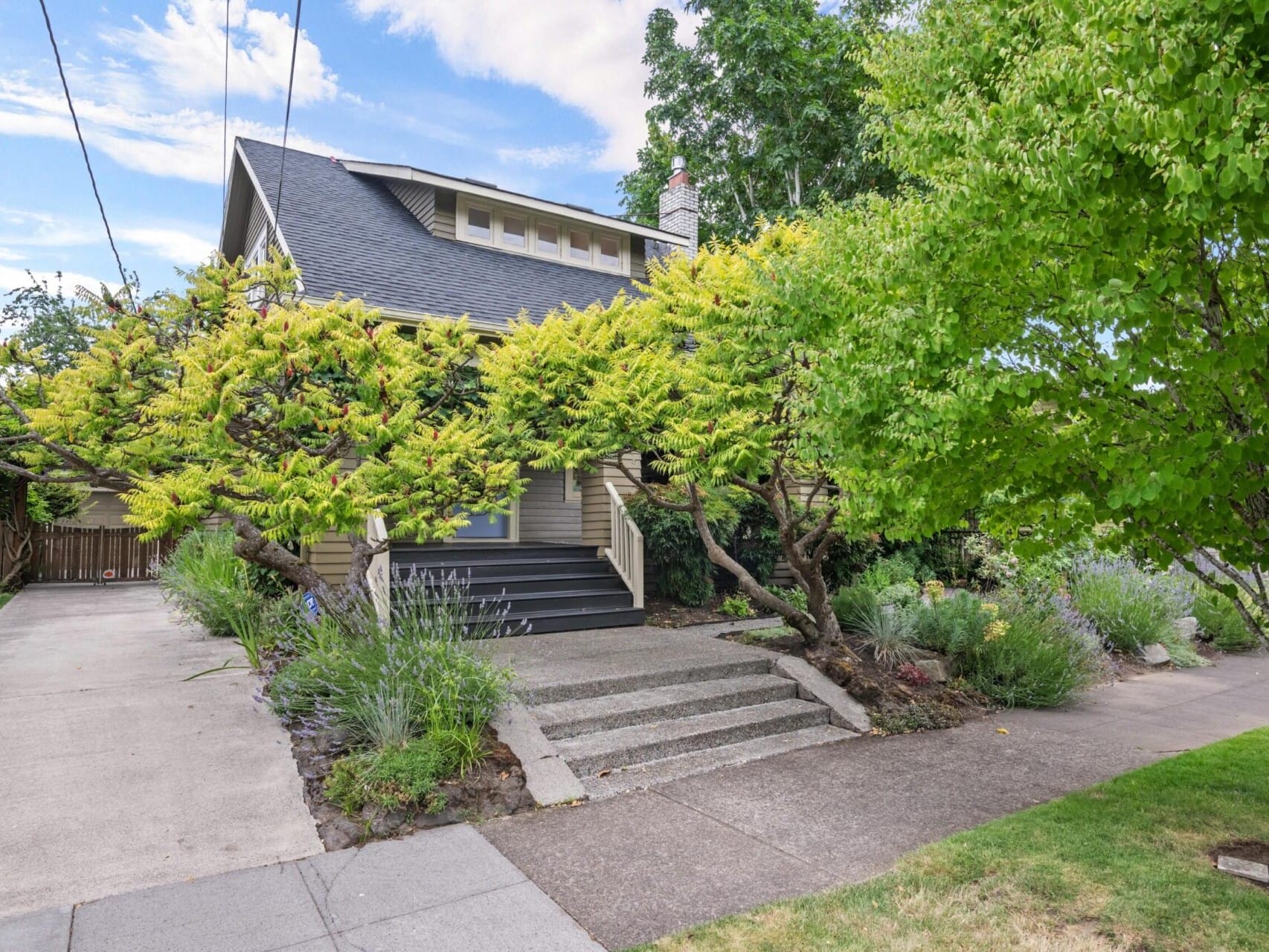 A charming house with a dark gray roof and beige siding, nestled amidst Portland, Oregon's lush greenery. A tree with yellow-green leaves arches over the front steps leading to a porch. A concrete driveway is on the left, and a sidewalk is in the foreground—an inviting gem in Portland real estate.