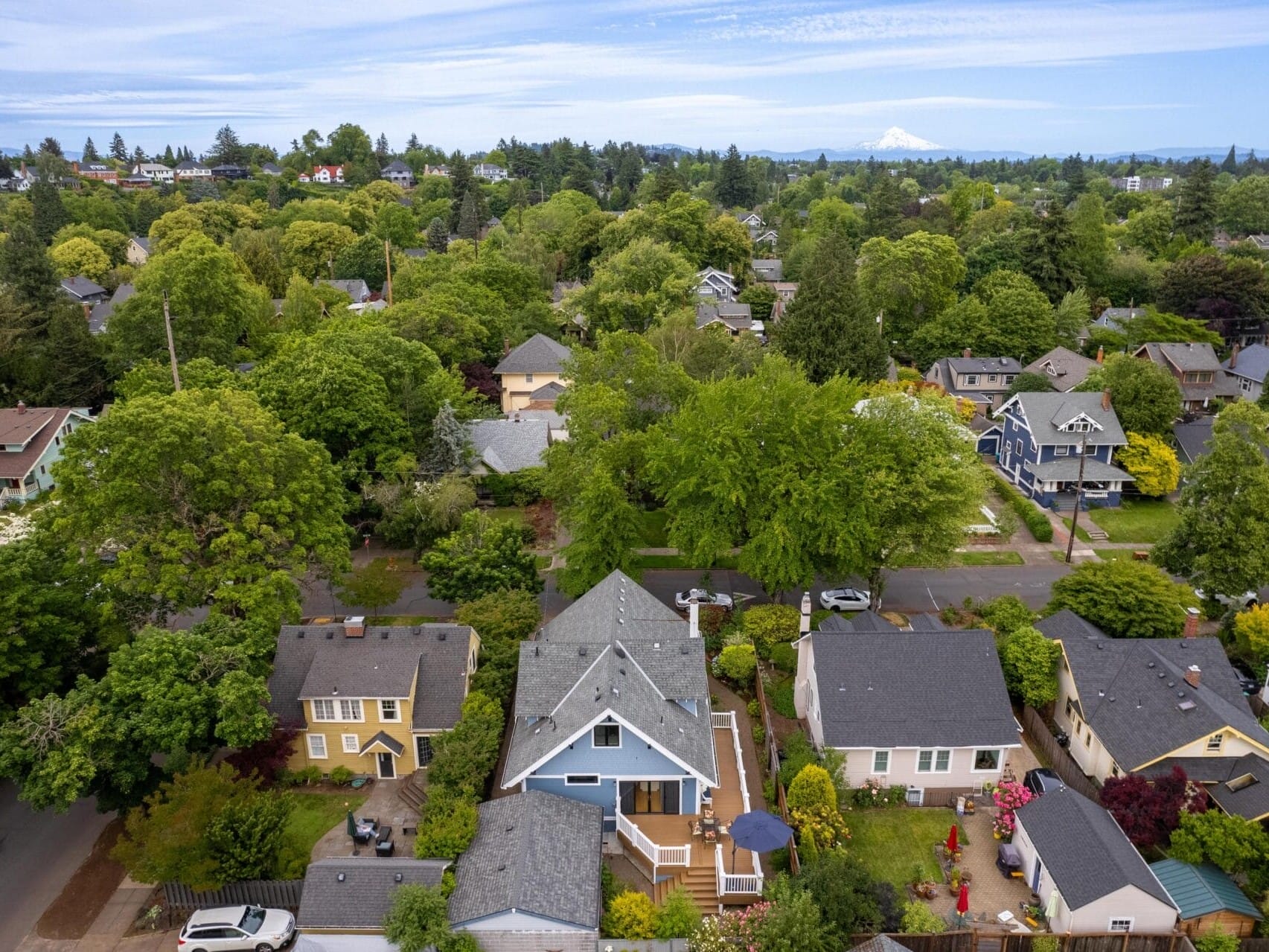 Aerial view of a residential neighborhood with several houses surrounded by lush green trees. In the background, a distant snow-capped mountain is visible under a partly cloudy sky.