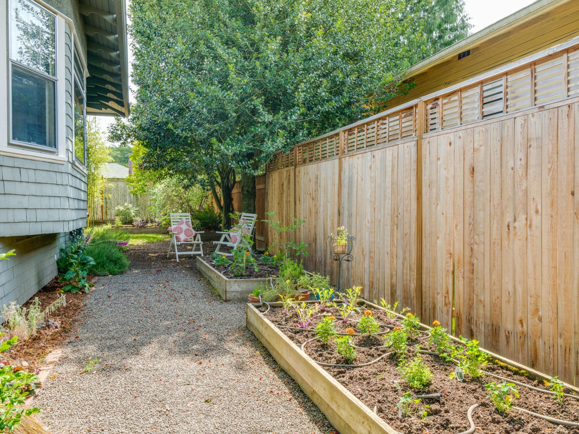 A side yard with a gravel path, raised garden beds of plants, and two chairs with a small table under a tree, bordered by a wooden fence. The sun casts light on the green foliage, creating a peaceful outdoor space beside the house.
