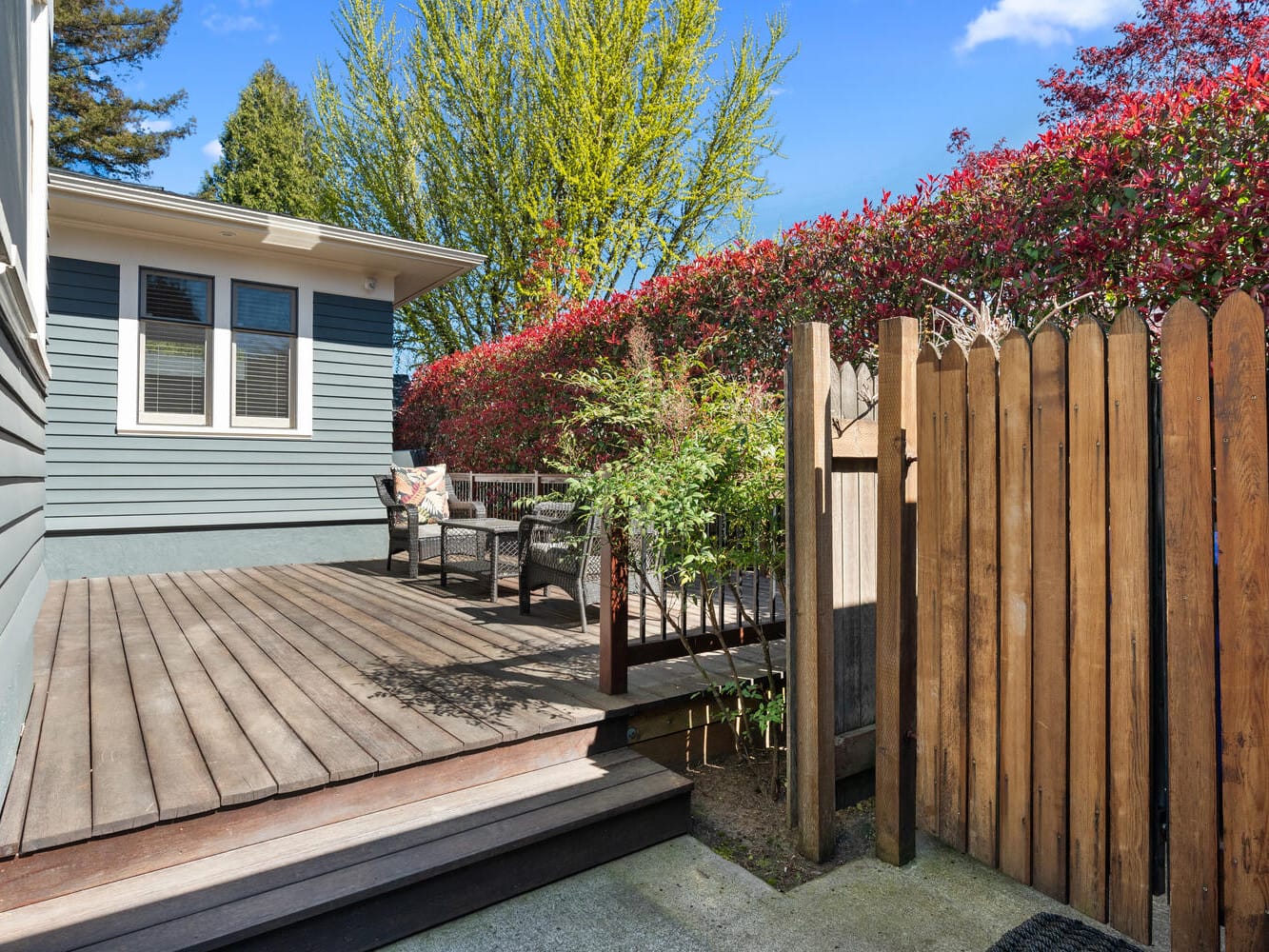 A wooden deck with outdoor seating, bordered by a tall red-leaved hedge, is adjacent to a blue-gray house with white trim. A wooden fence partially encloses the area. The sky is clear and blue, indicating a sunny day.