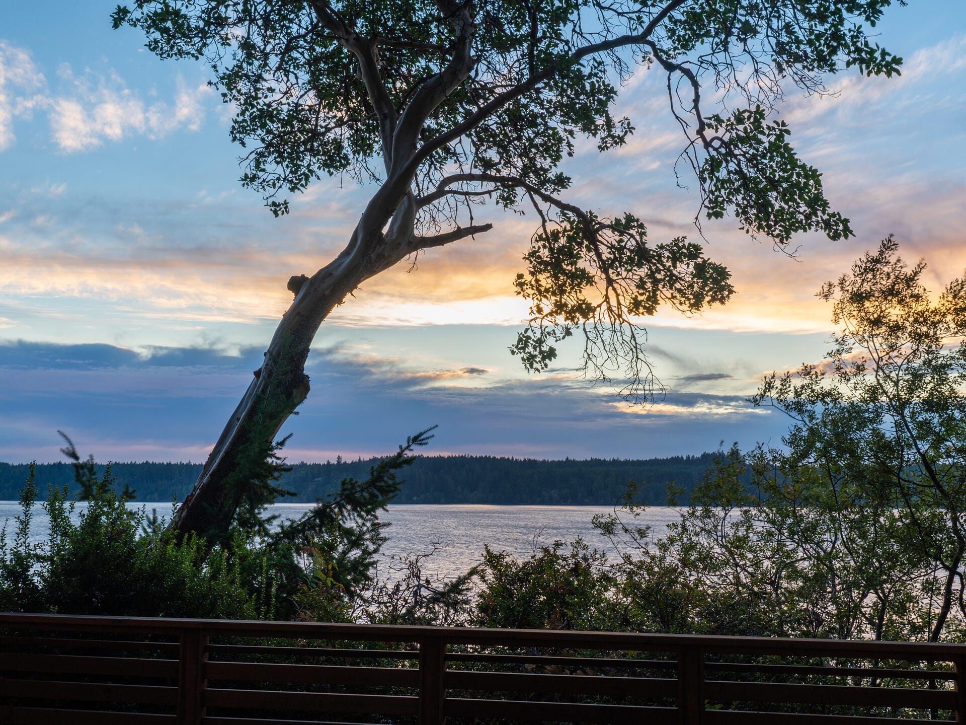 Sunset view over a serene lake, partially obscured by a silhouette of a leaning tree and surrounding foliage. A wooden fence in the foreground adds depth, while the sky is painted with soft hues of orange, pink, and blue.