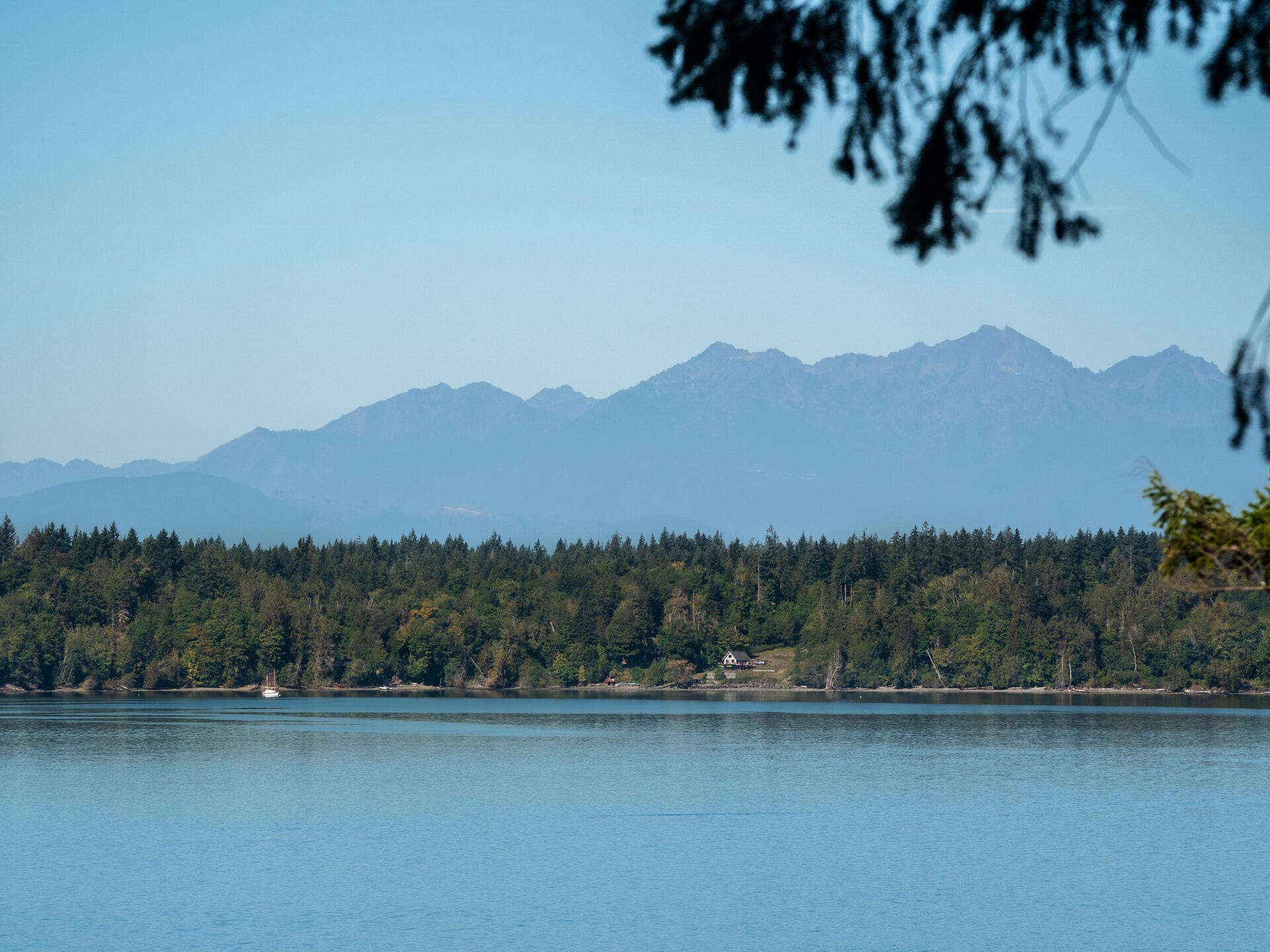 A tranquil scene featuring a calm lake in the foreground, bordered by a dense forest. In the background, a range of mountains can be seen under a clear blue sky, with tree branches hanging overhead.