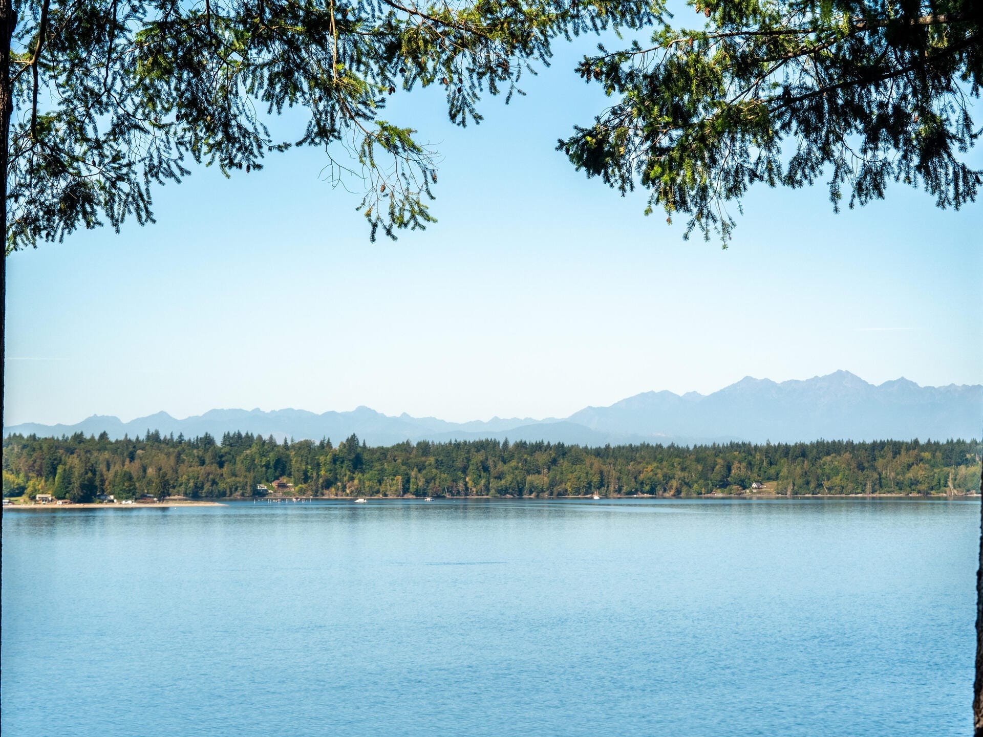 A tranquil lake scene with calm blue water reflecting the clear sky. Pine branches frame the top of the image, and a forested shoreline stretches across the middle. Mountain peaks are visible in the distant background.