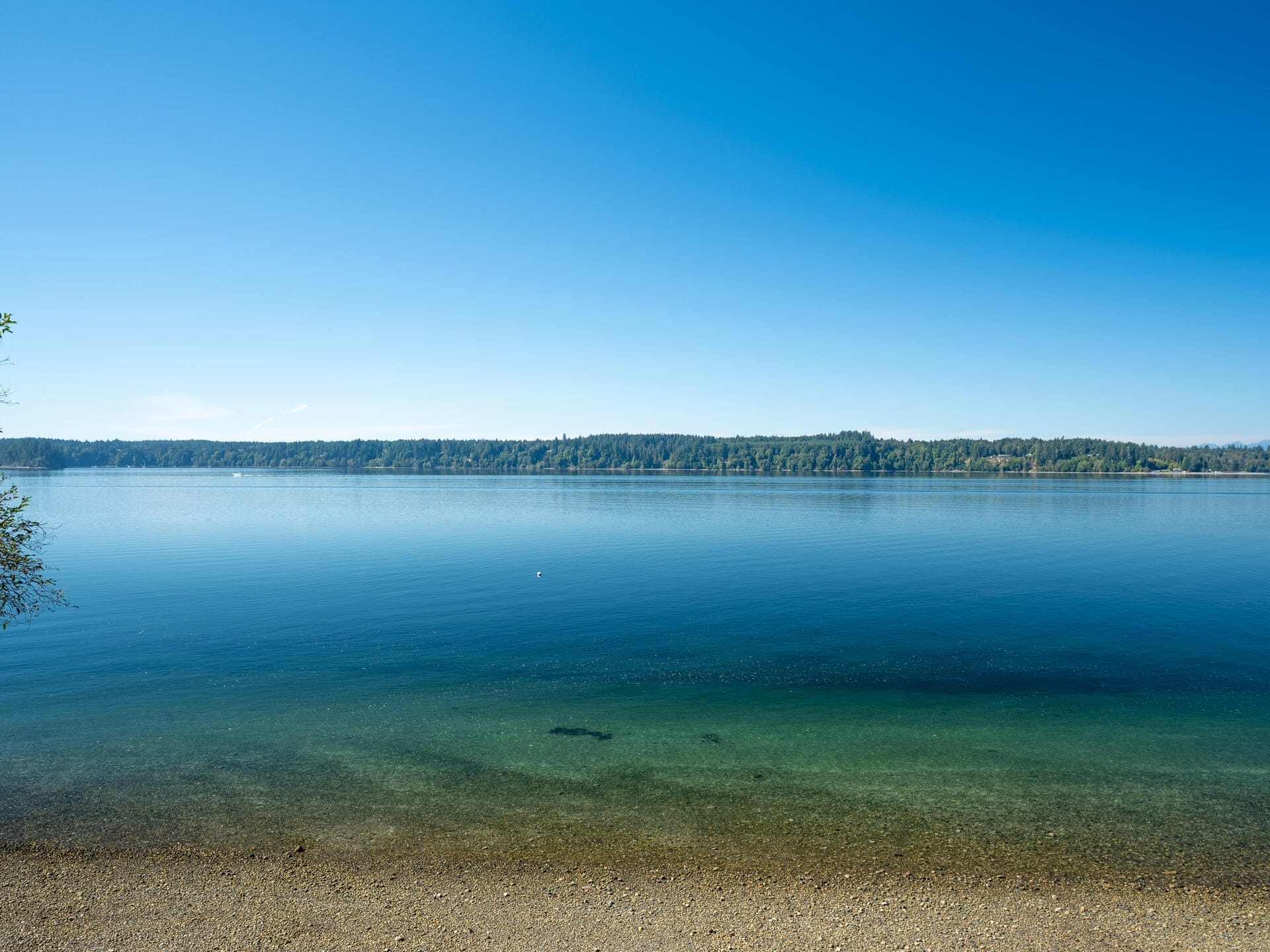 A serene lake under a clear blue sky. The foreground features a sandy shore leading to calm, reflective water. The background shows a line of green trees along the horizon.