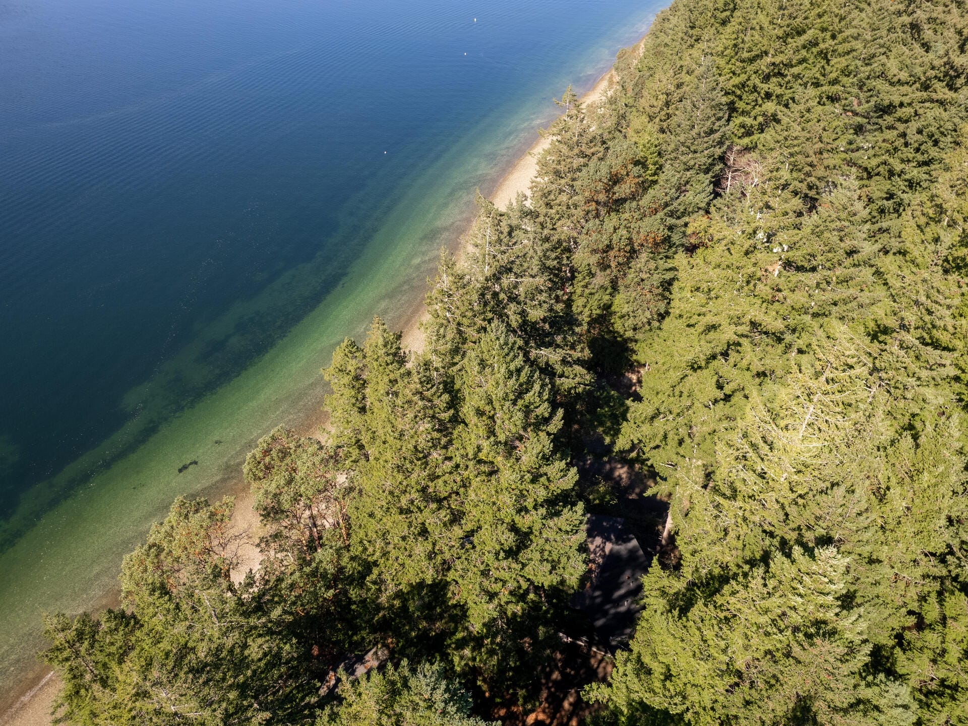 Aerial view of a serene coastal landscape with a turquoise shoreline on the left and dense green forest on the right. The gentle waves meet the sandy beach bordered by lush trees.