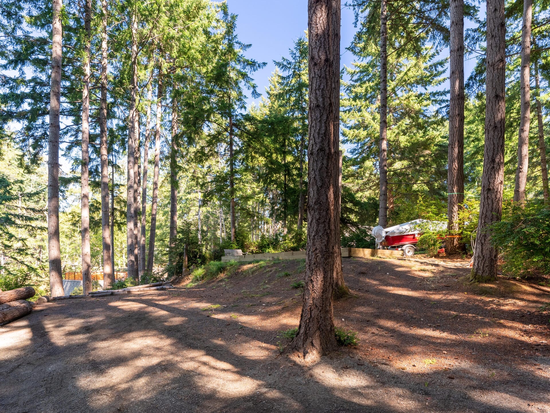 A serene forest scene with tall trees casting long shadows. A dirt path winds through the woods, leading to a red trailer and a neatly stacked woodpile. Sunlight filters through the dense canopy, creating a peaceful atmosphere.