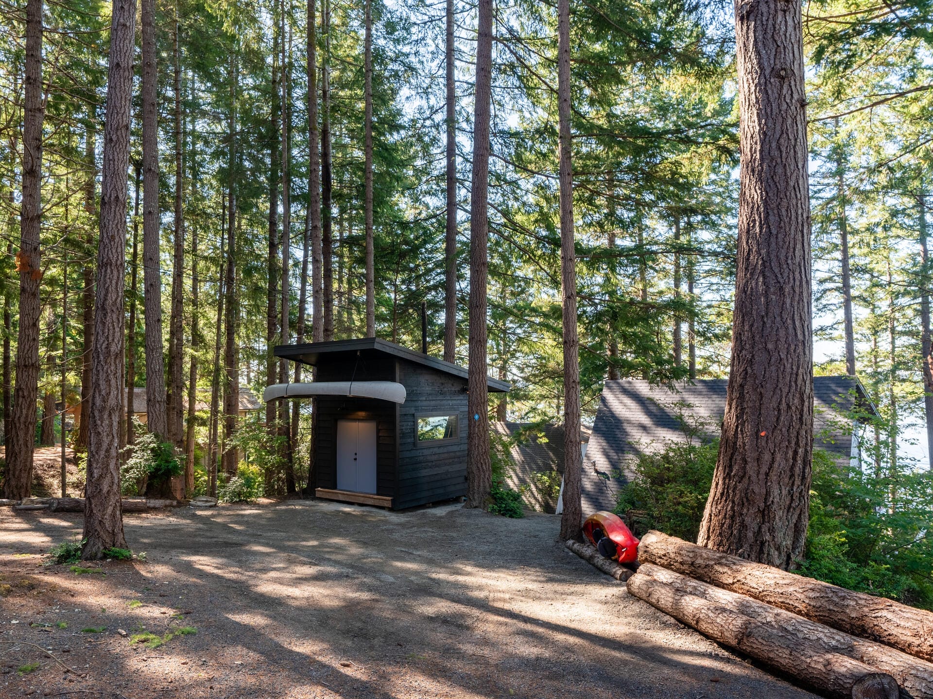 A small dark wooden cabin nestled among tall trees with a slanted roof. Sunlight filters through the forest canopy, creating patches of light on the ground. A stack of logs and a red object are nearby.