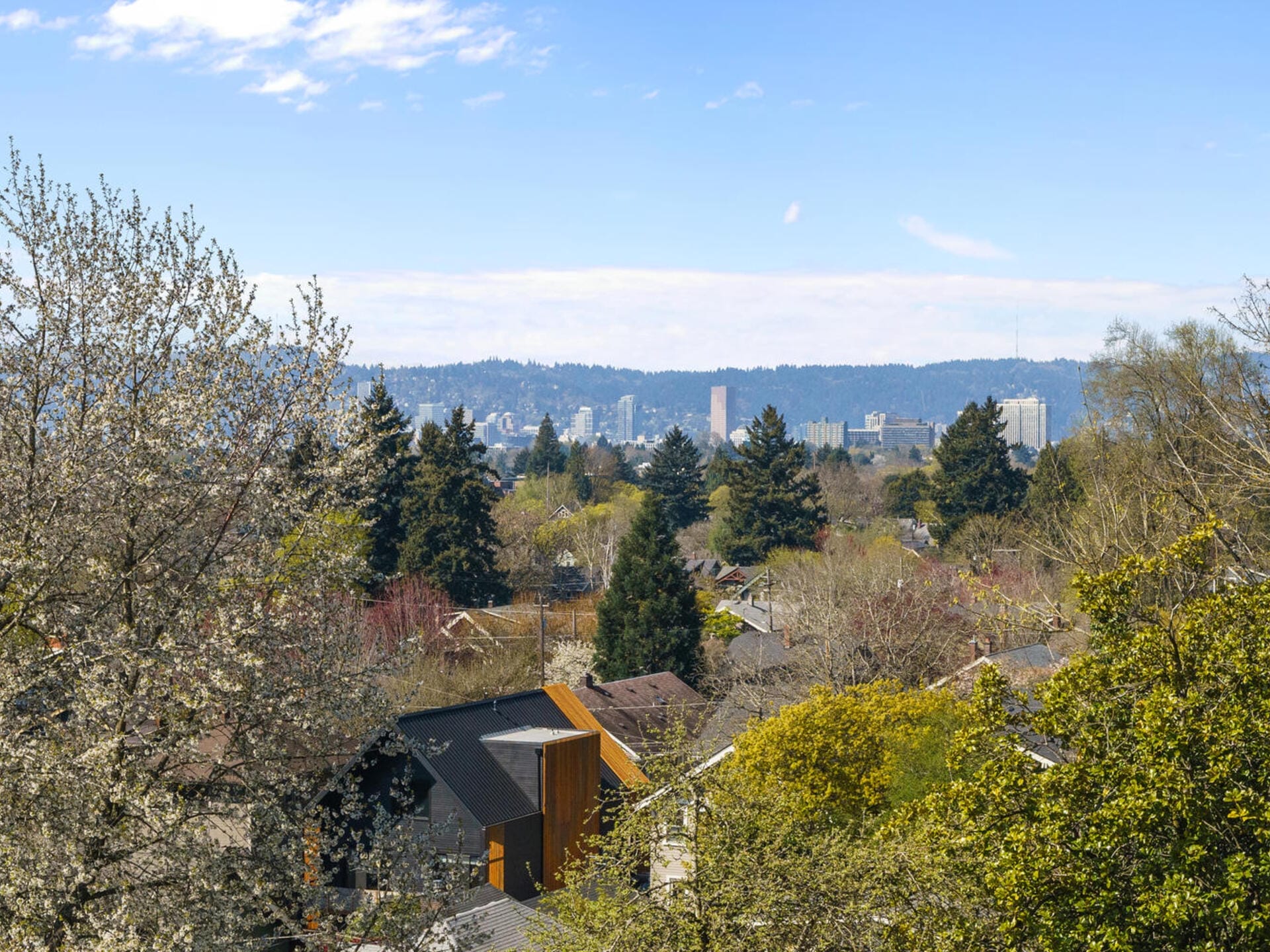 A scenic view of a city from a hillside, with blooming trees and rooftops in the foreground. In the background, a mix of buildings and greenery, under a blue sky with scattered clouds.