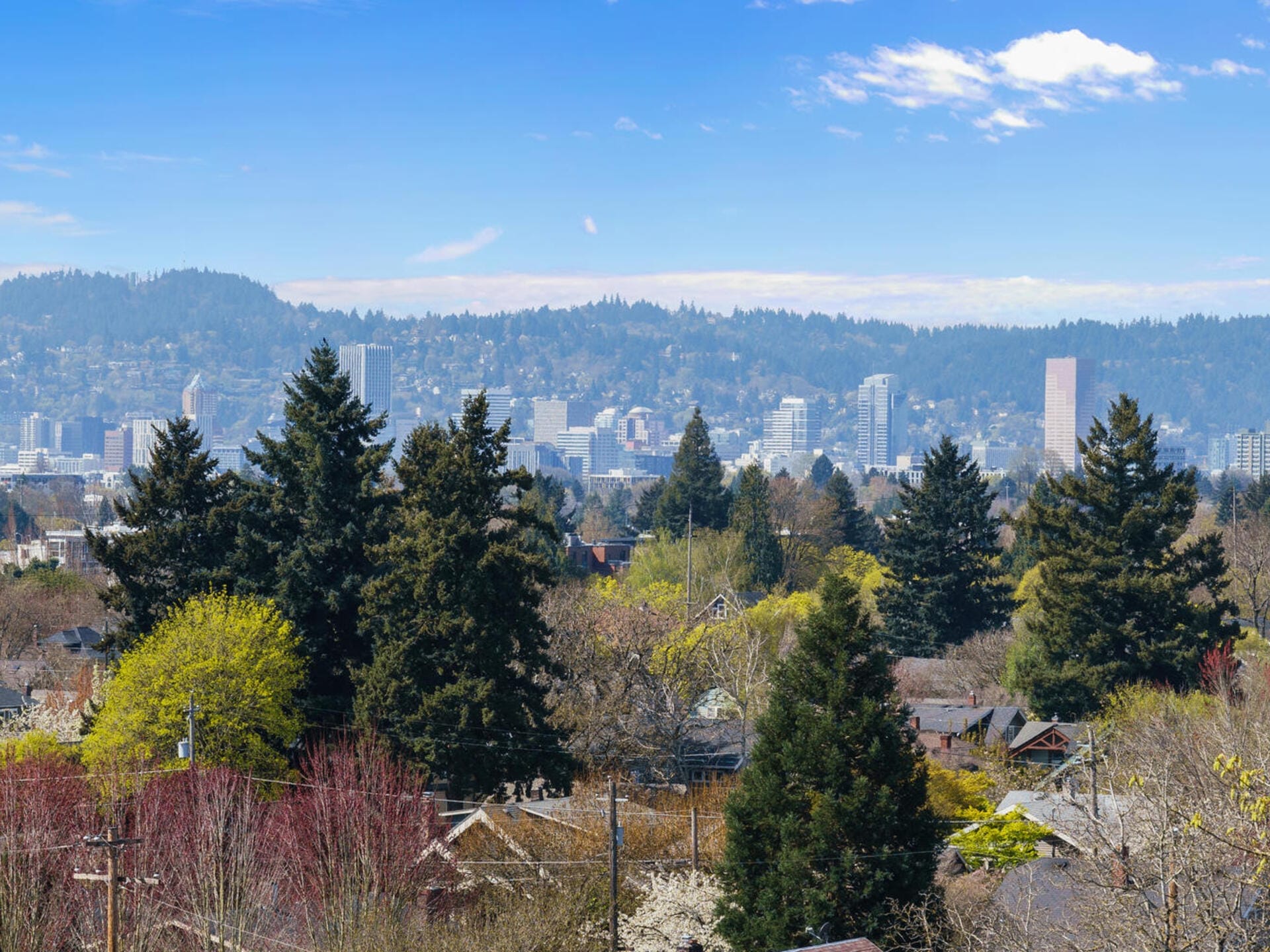 A scenic view of a city skyline with tall buildings in the background. In the foreground, there are lush trees and residential rooftops. The sky is clear with a few scattered clouds.