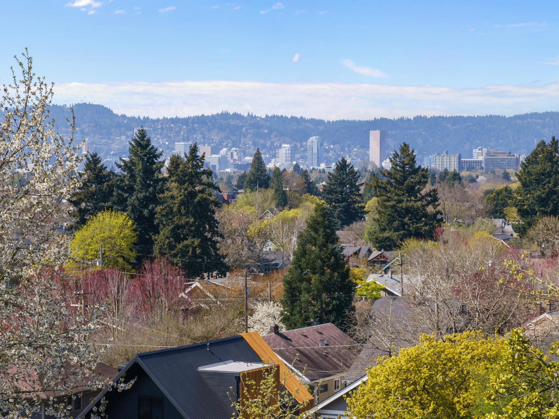 A scenic view of a city skyline in the background with lush greenery and trees in the foreground. Buildings are visible amidst a clear blue sky and distant hills, providing a serene urban landscape.