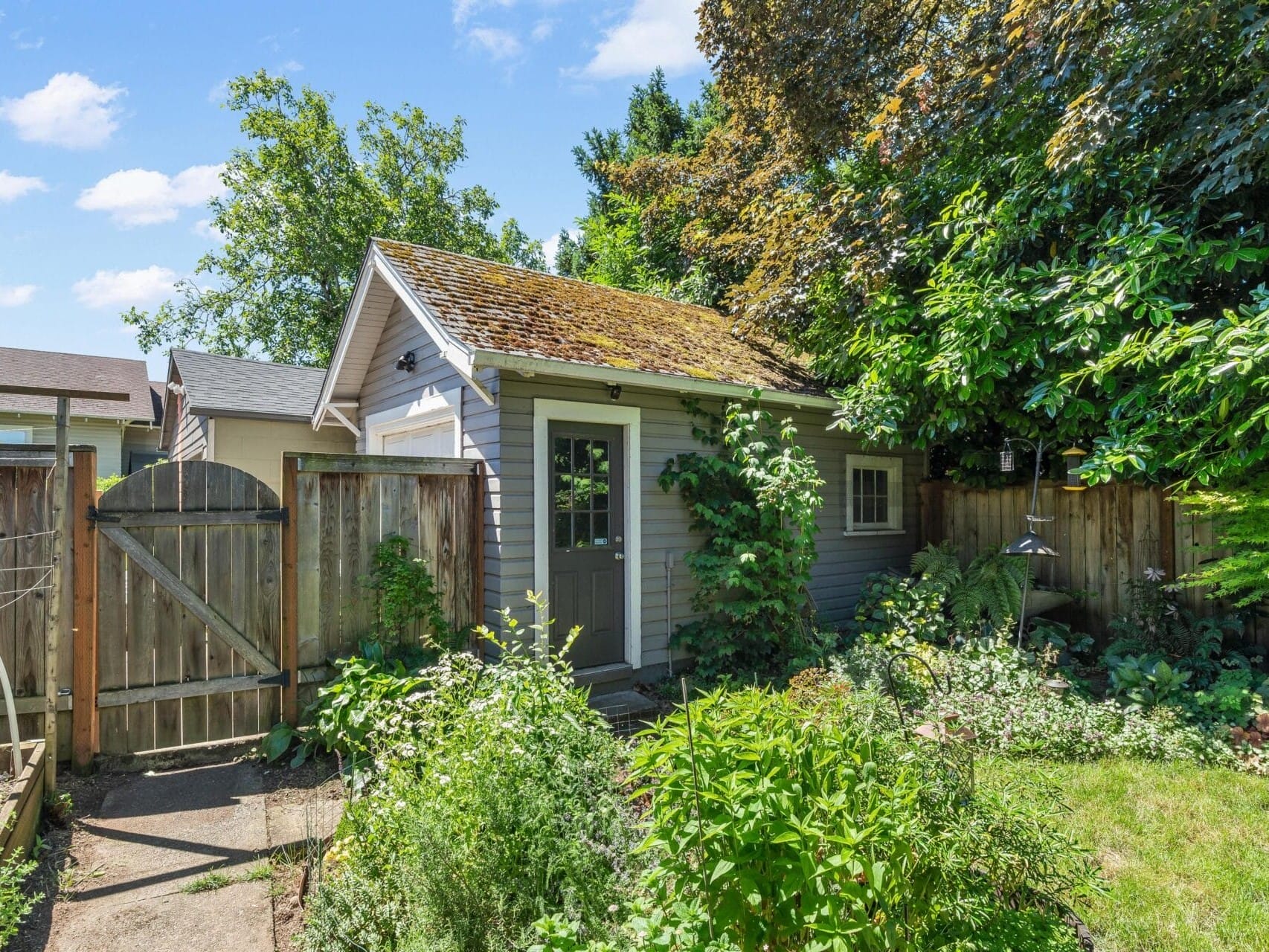 Small grey garden shed with a moss-covered roof surrounded by lush greenery, including various plants and trees. A wooden fence with a gate is to the left, and a sunny blue sky with a few clouds is in the background.