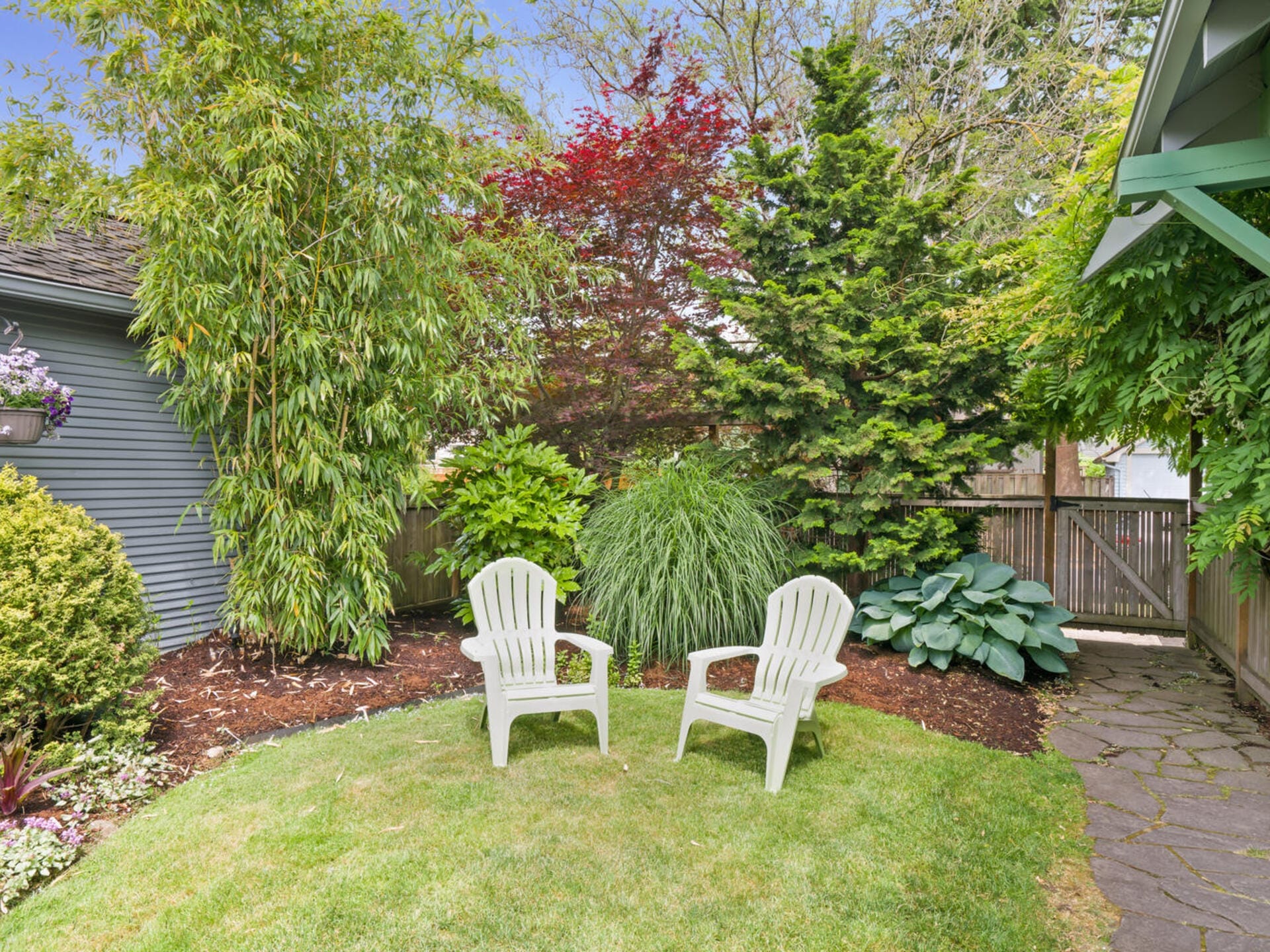 A lush backyard garden with two white chairs on a grassy lawn. Surrounding the area are diverse plants, including bamboo, a red-leafed tree, and various shrubs. A pathway made of stones leads to a wooden fence in the background.