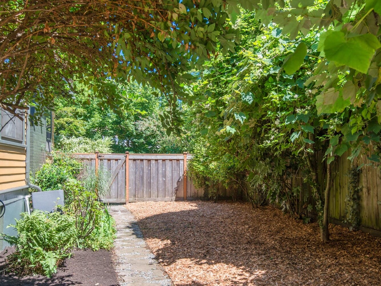 A lush backyard garden featuring a wooden fence, leafy green trees, and a mulch-covered ground. A narrow stone pathway runs alongside the house, bordered by ferns and various plants, creating a serene, natural atmosphere.