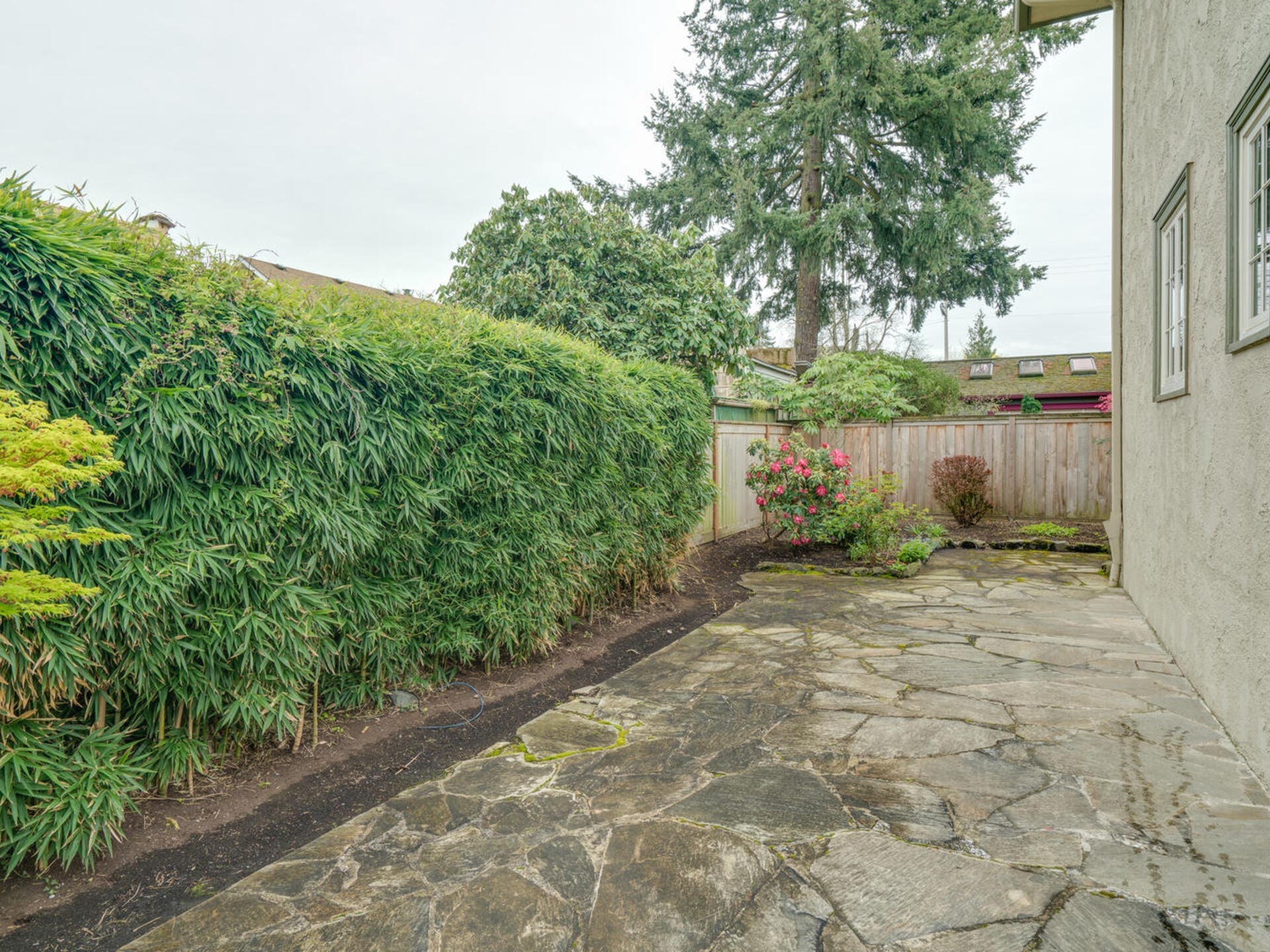 A stone patio extends alongside a beige house, bordered by a lush green hedge. In the background, a wooden fence encloses the area, with a large tree and blooming pink flowers adding a touch of nature. Sky is overcast.