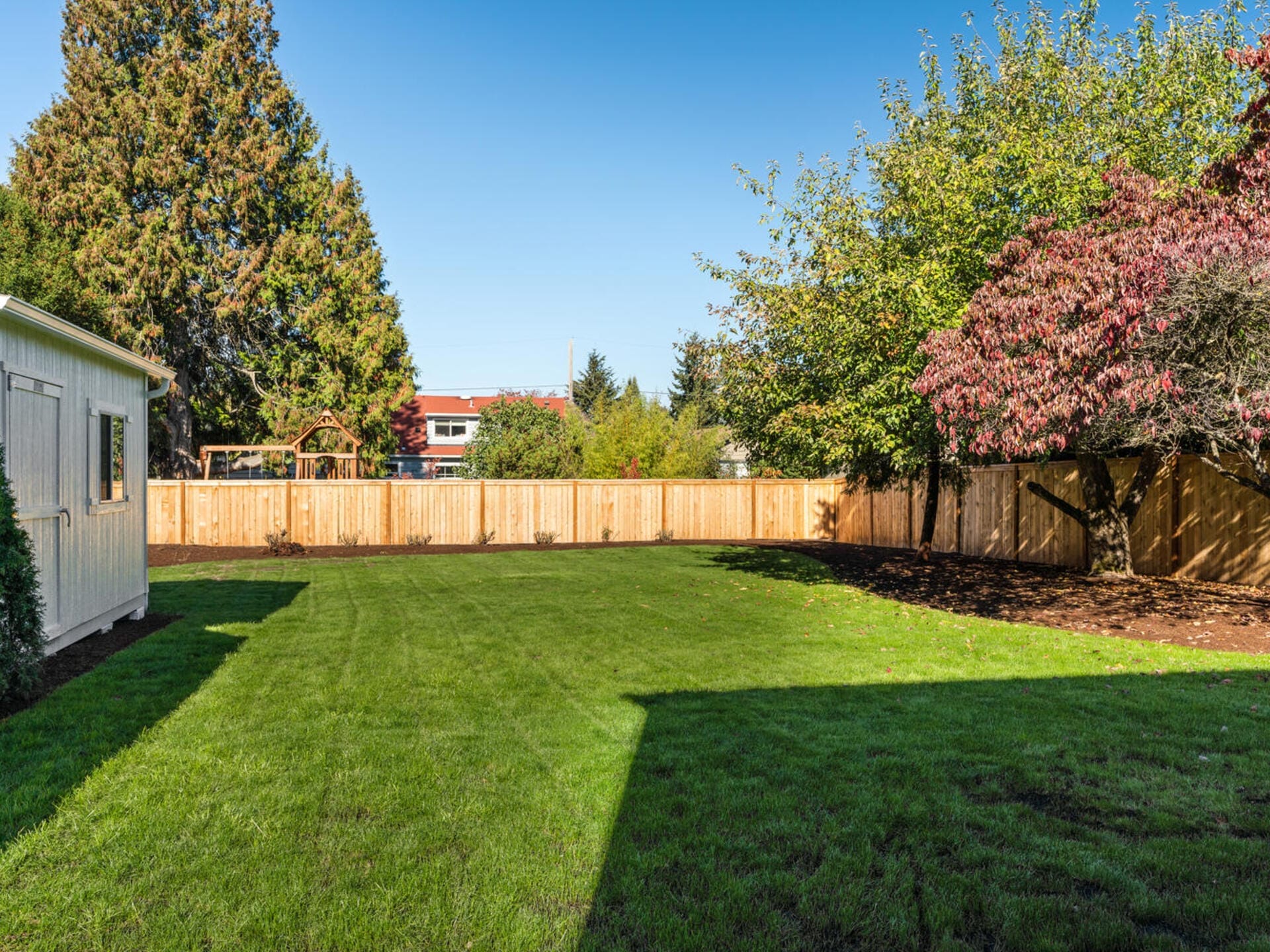 A backyard with a lush green lawn, bordered by a wooden fence and various trees. To the left, theres a white storage shed. The sky is clear and blue, creating a sunny and peaceful atmosphere.