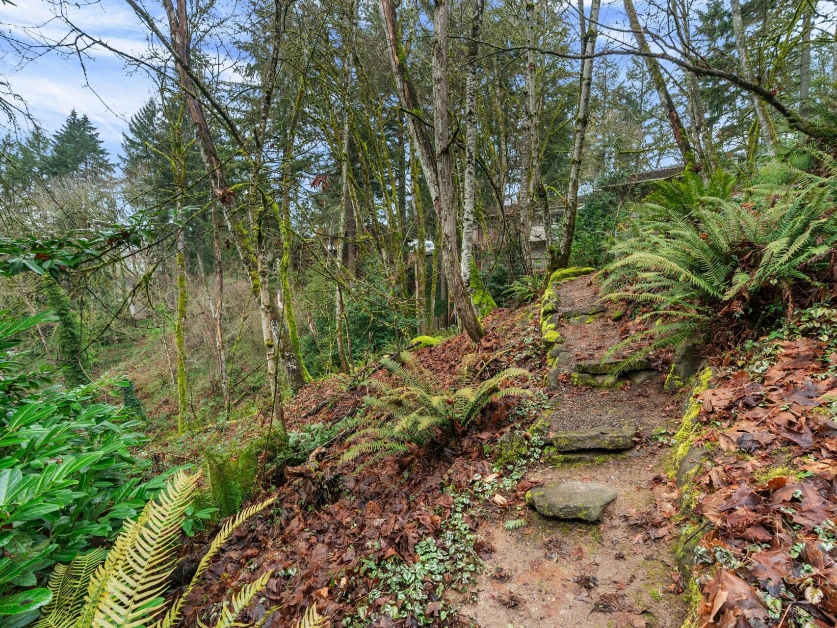 A scenic woodland trail covered with fallen leaves and lined with ferns. Moss-covered stones form steps leading uphill. Trees with bare branches surround the path, under a clear blue sky.