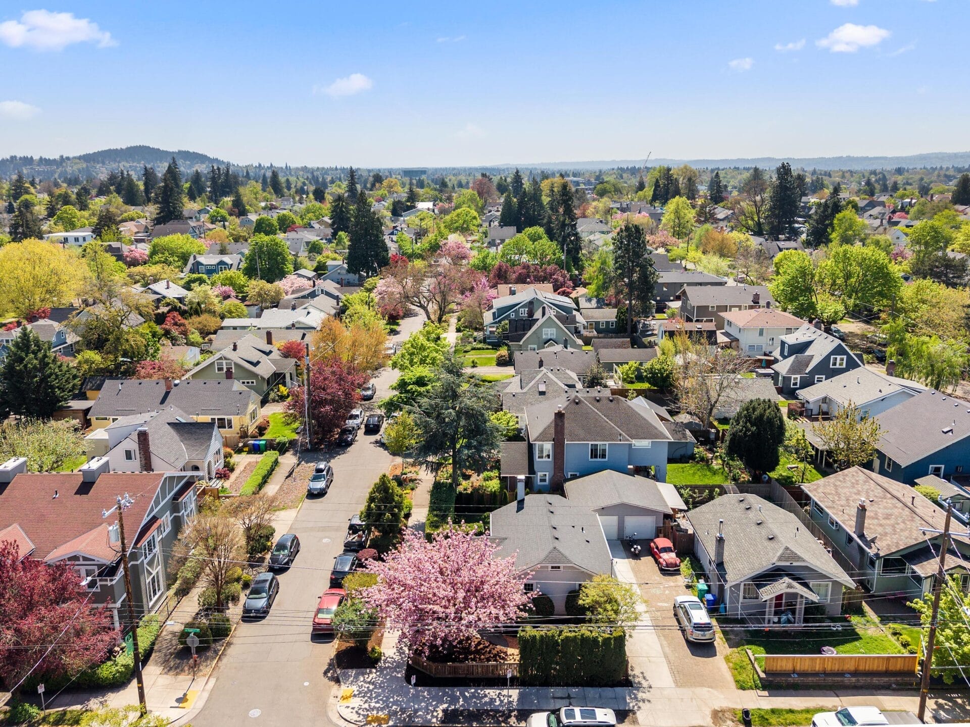 Aerial view of a residential neighborhood with tree-lined streets, colorful blooming trees, and houses with yards under a clear blue sky on a sunny day.