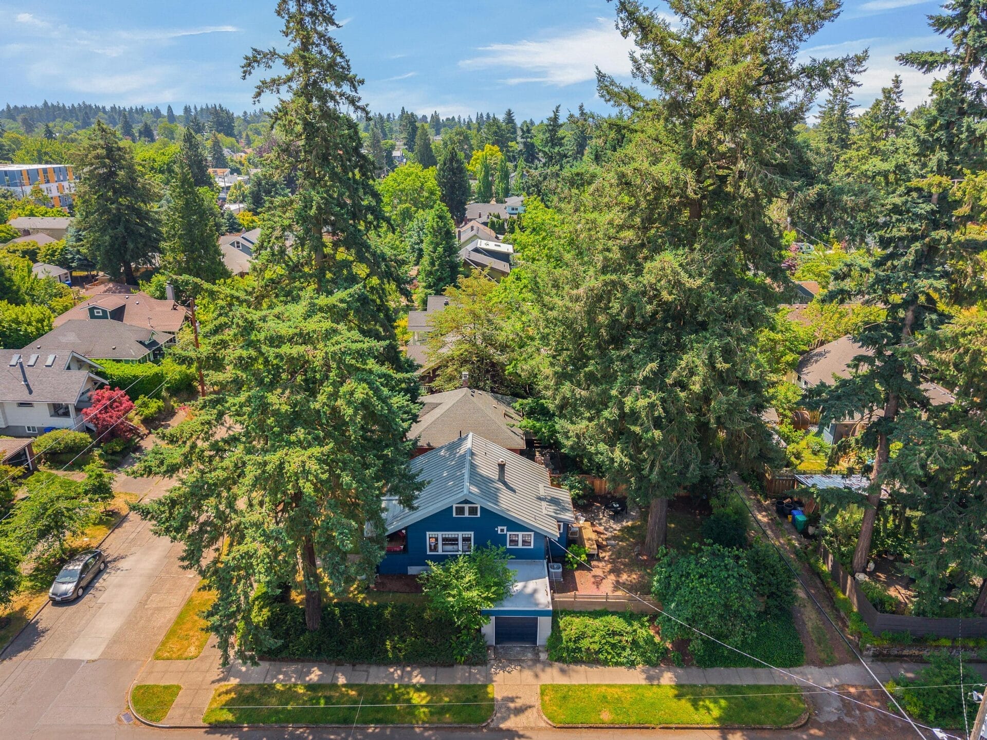 Aerial view of a blue house surrounded by tall trees in a residential neighborhood with green lawns and other houses visible under a clear blue sky.