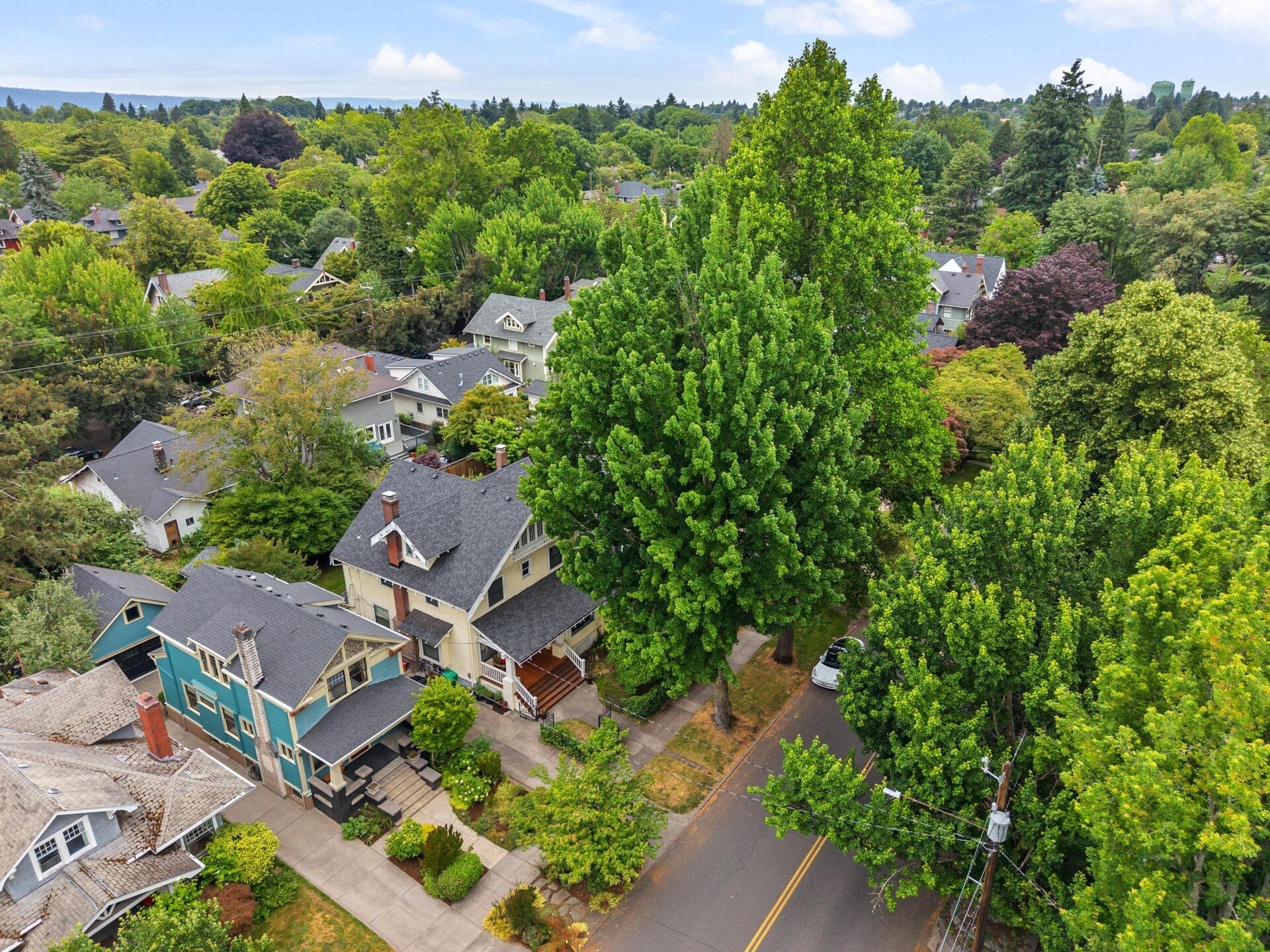 Aerial view of a residential neighborhood with tree-lined streets, houses with sloped roofs, and abundant greenery on a clear day. A road runs through the center, partially shaded by large, leafy trees.