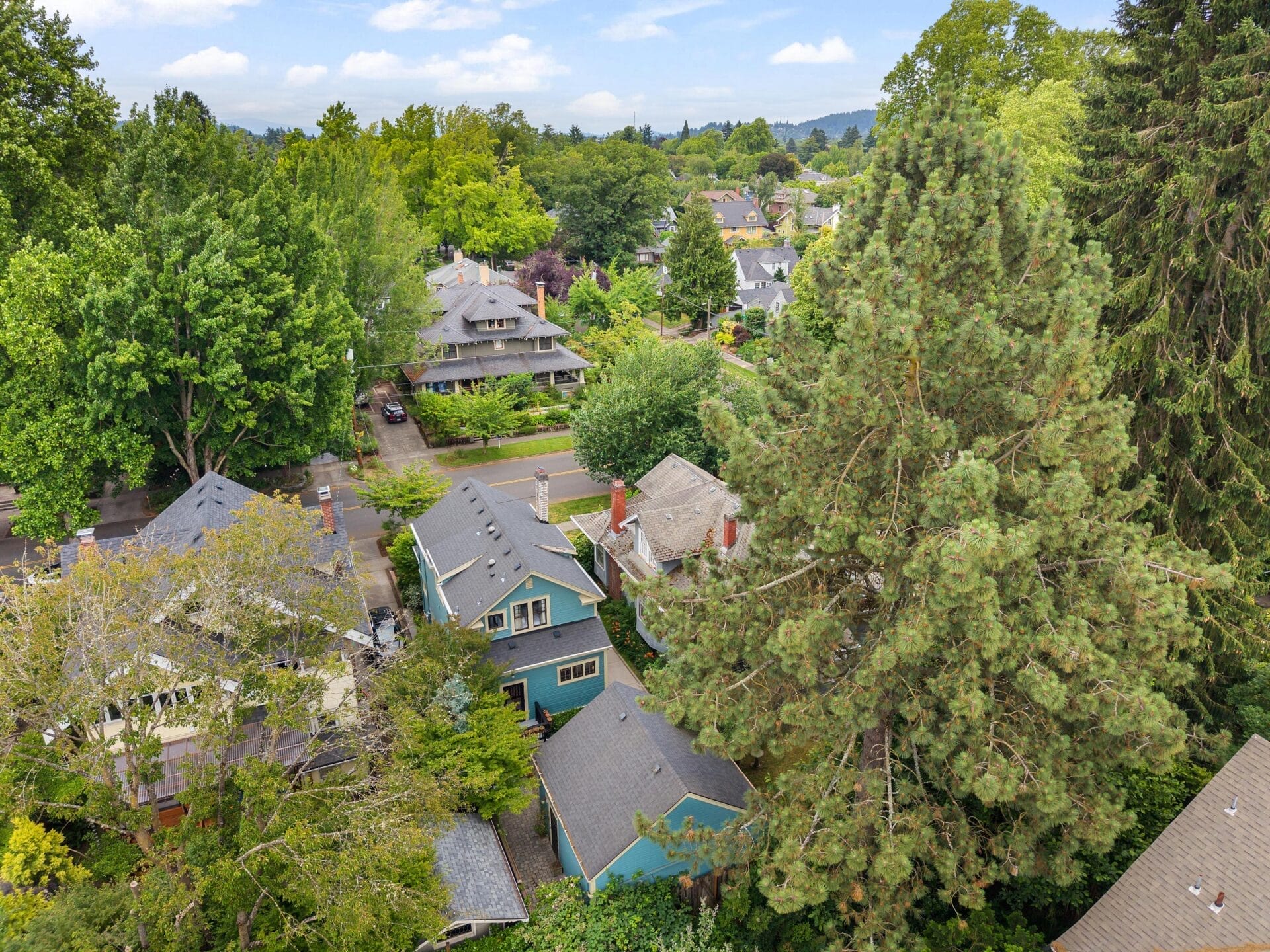 Aerial view of a residential neighborhood with several houses surrounded by tall trees and greenery under a partly cloudy sky.